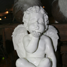 IMG_4420_JPG-1290977414