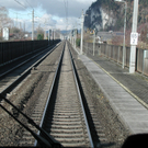 P1010002.JPG
