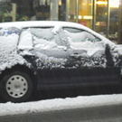 DSC_0569.jpg