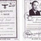 Geiger-Krieg_0007_jpg-1291012783