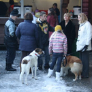 normal_27112010_adventmarktebenaufdaktivnews_10.jpg