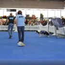 d418e837700bab2ca374b01d7bdd40c1_640.jpg