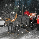 normal_271120adventmarktcumberlandpsaktivnews_001__13_.jpg