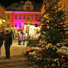 normal_27112010hellbrunnwm2aktivnews_05.jpg
