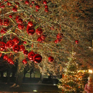 normal_27112010hellbrunnwm2aktivnews_16.jpg