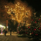 normal_27112010hellbrunnwm2aktivnews_18.jpg