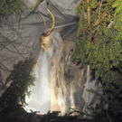 normal_271110krampuskraenzchensfaktivnews044.jpg