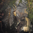 normal_271110krampuskraenzchensfaktivnews045.jpg
