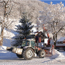 6. Schnepfauer Christbaumfeier mit Adventsmarkt