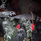 normal_28112010watzmannfmaktivnews_24.jpg