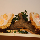 klosterladen08_jpg-1291045268
