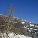 299_bearbeitet-1_jpg-1291042800