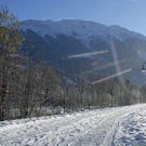 301_bearbeitet-1_jpg-1291042864