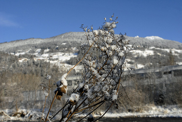 305_bearbeitet-1_jpg-1291042892