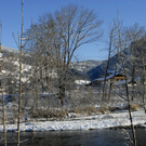 308_bearbeitet-1_jpg-1291042953