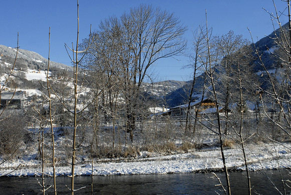 308_bearbeitet-1_jpg-1291042953