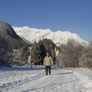 311_bearbeitet-1_jpg-1291042983