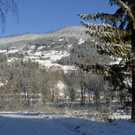 313_bearbeitet-1_jpg-1291043011