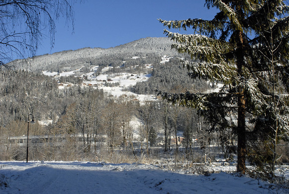 313_bearbeitet-1_jpg-1291043011