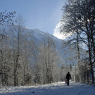 323_bearbeitet-1_jpg-1291043132