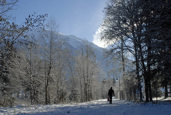 323_bearbeitet-1_jpg-1291043132