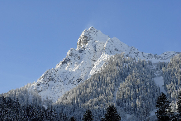 331_bearbeitet-1_jpg-1291043224