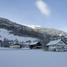 533_bearbeitet-1_jpg-1291043857