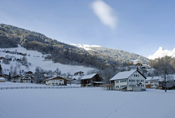 533_bearbeitet-1_jpg-1291043857