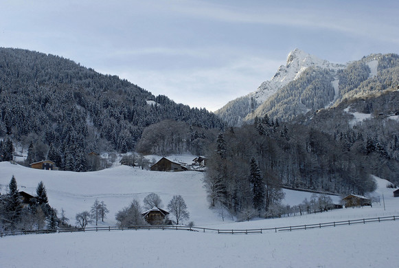 540_bearbeitet-2_jpg-1291044091