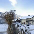 542_bearbeitet-1_jpg-1291044133