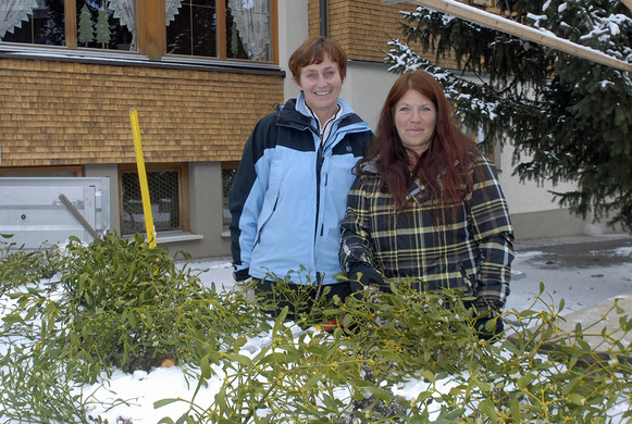 654_bearbeitet-1_jpg-1291044441