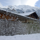 556_bearbeitet-1_jpg-1291044594