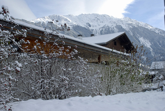 556_bearbeitet-1_jpg-1291044594