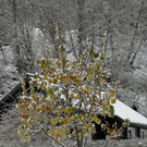 564_bearbeitet-1_jpg-1291044694