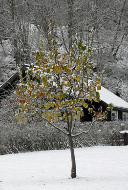 564_bearbeitet-1_jpg-1291044694