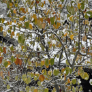 569_bearbeitet-1_jpg-1291044736