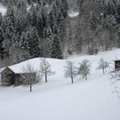 630_bearbeitet-1_jpg-1291044980