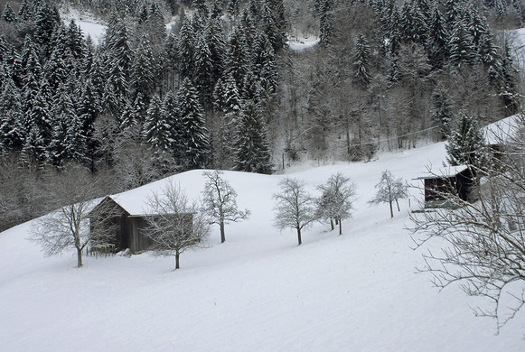 630_bearbeitet-1_jpg-1291044980