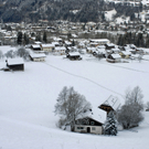 643_bearbeitet-1_jpg-1291045314