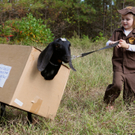 goat-girl.jpg