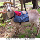 renabluejeanpack_2005-08-26.jpg