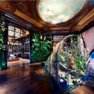 01 REPLAY STORE PARIS.jpg