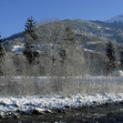 319_bearbeitet-1_jpg-1291124008