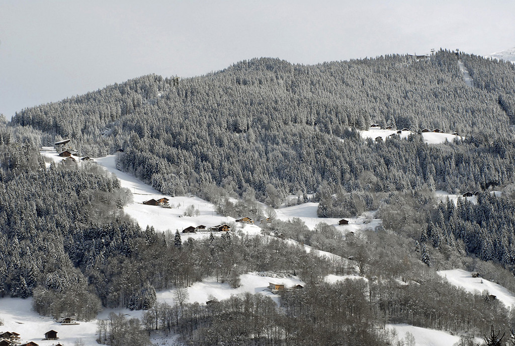 591_bearbeitet-1_jpg-1291124334