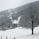 319_bearbeitet-1_jpg-1291125964