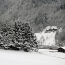 320_bearbeitet-1_jpg-1291126028