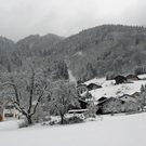 323_bearbeitet-1_jpg-1291126071