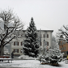 468_bearbeitet-1_jpg-1291128269