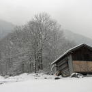 333_bearbeitet-1_jpg-1291126224