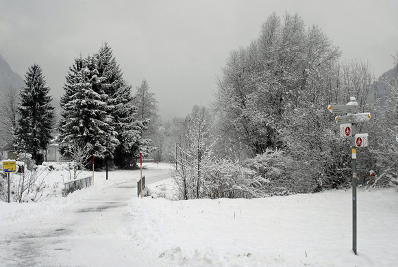 001_bearbeitet-1_jpg-1291137496